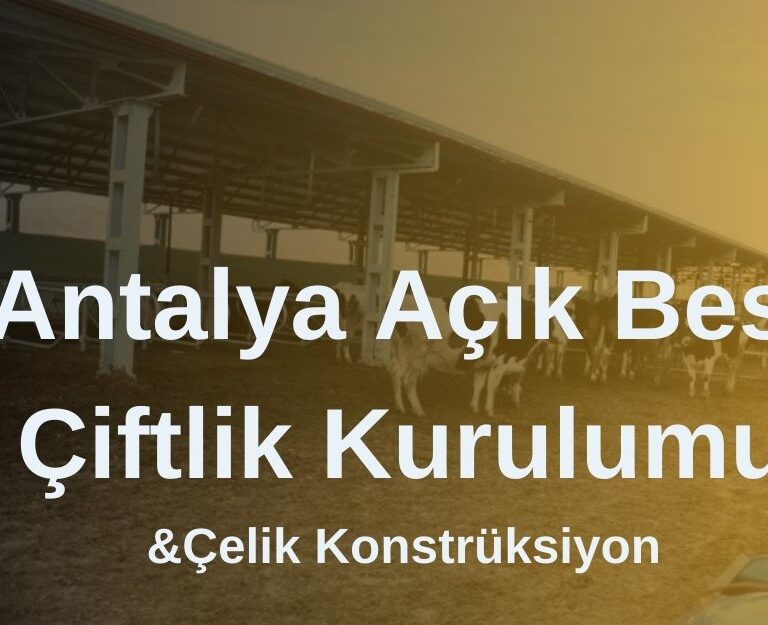 Antalya Açık Besi Çiftlik Kurulumu Firması